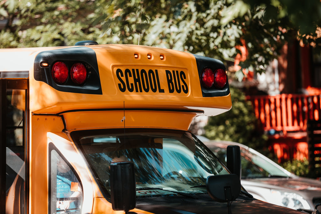 📚 Back to School, Back to Stories: Campus Tales & Classroom Favorites ✏️✨